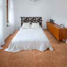 Carpet for home